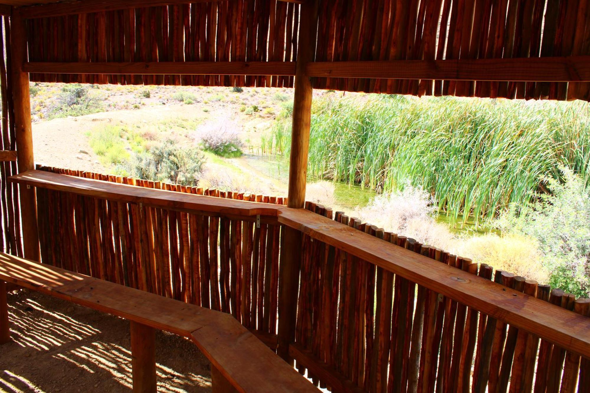 ליידיסמית Bosch Luys Kloof Nature Reserve מראה חיצוני תמונה